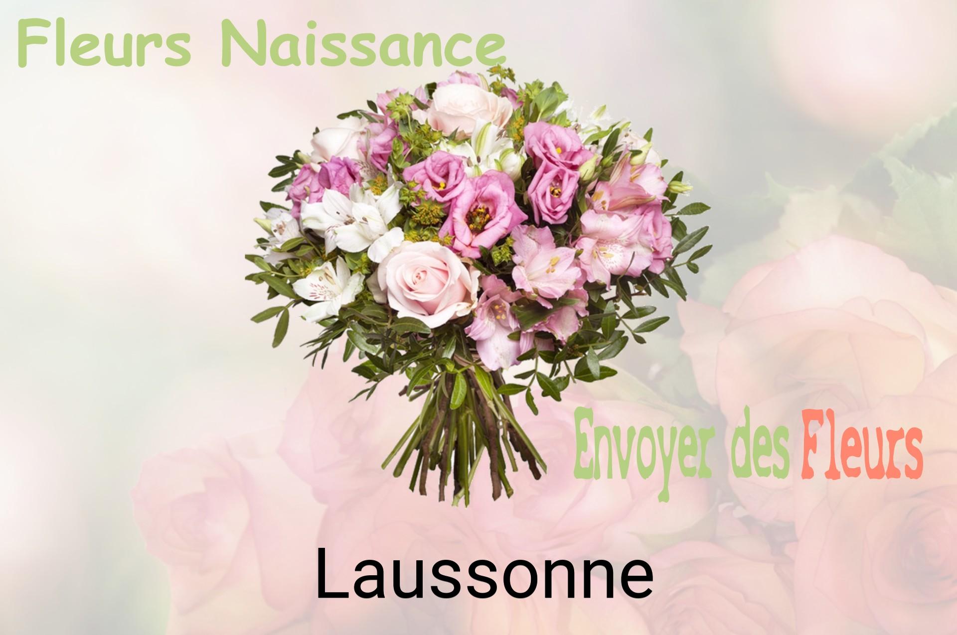 Bouquet de fleurs de naissance livré à Laussonne